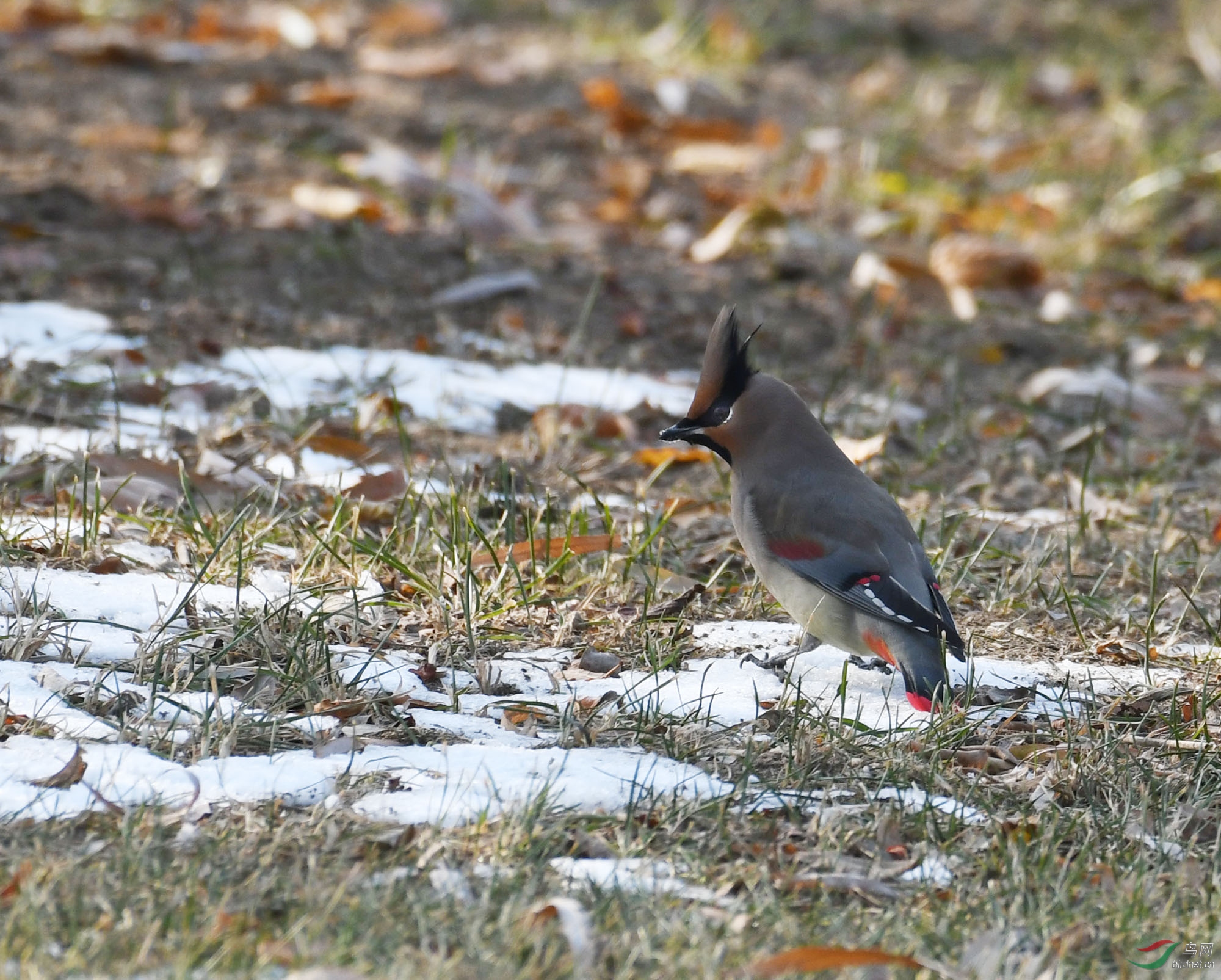 ������Ӱ 1922����.jpg