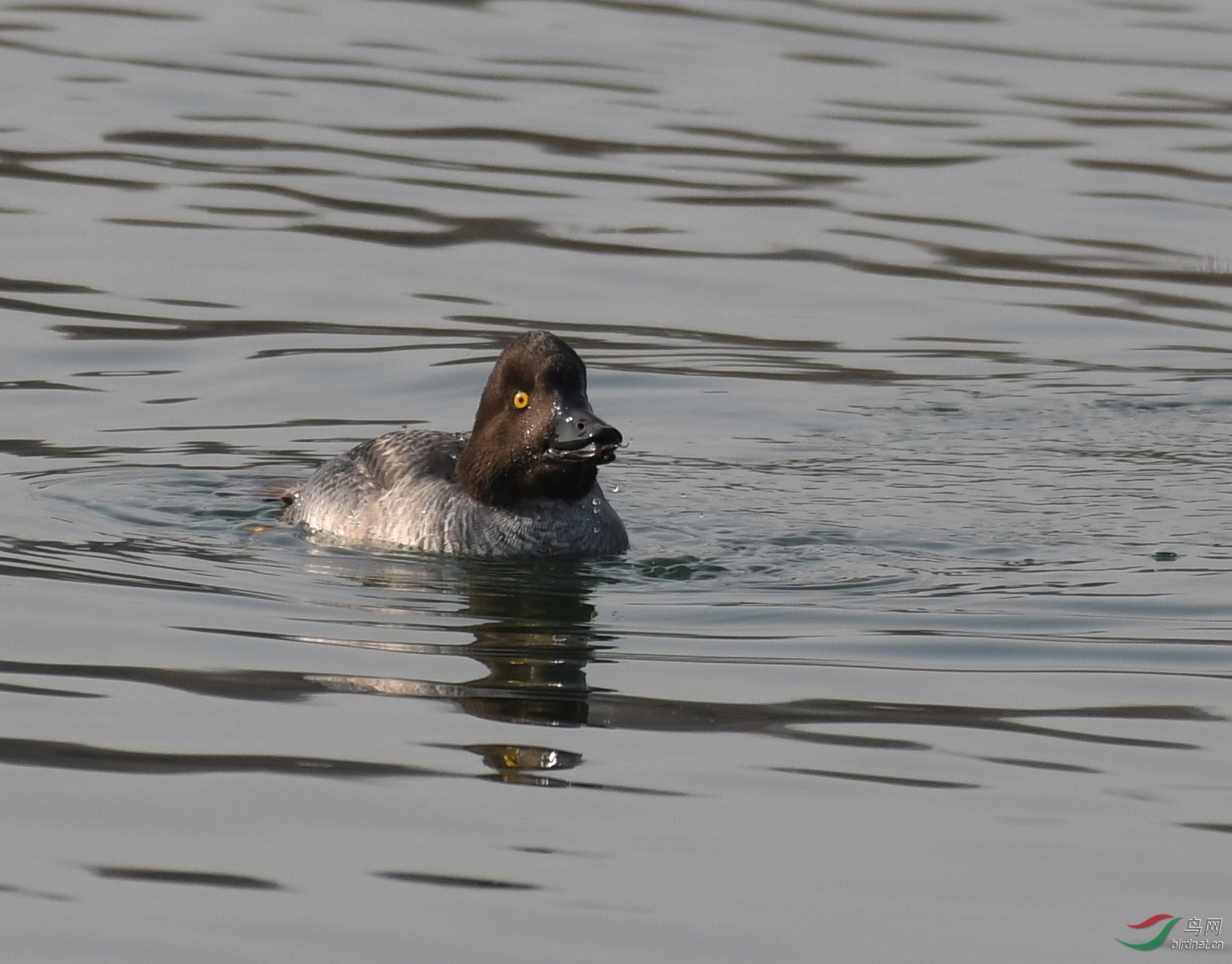 ������Ӱ 2847����.jpg