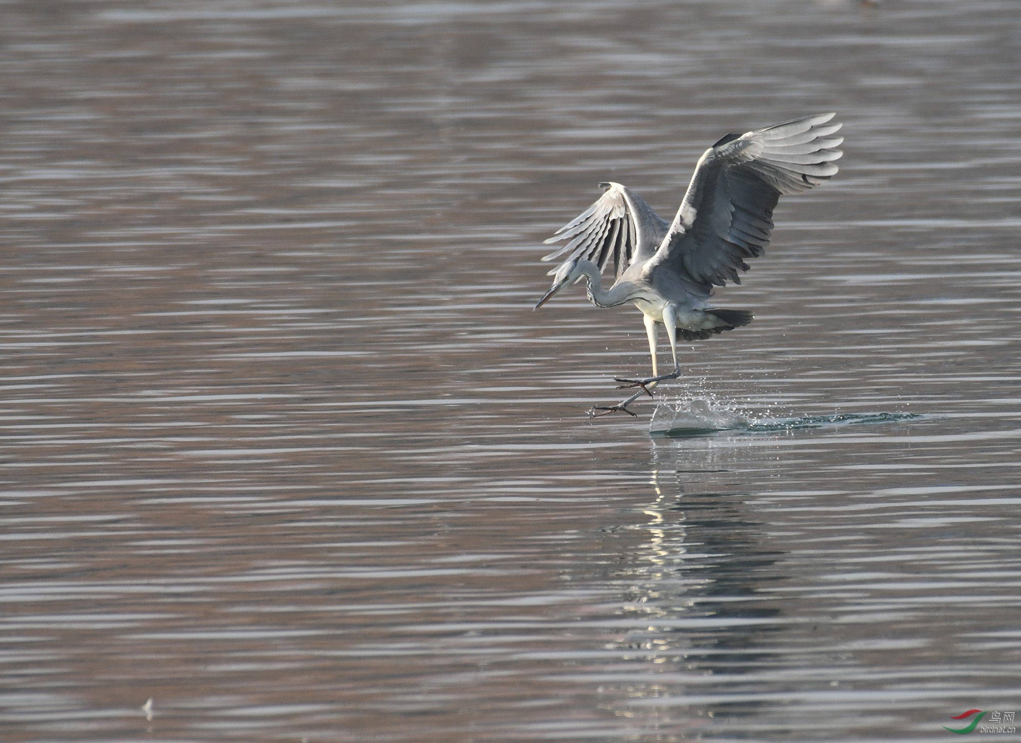 ������Ӱ 2398����.jpg