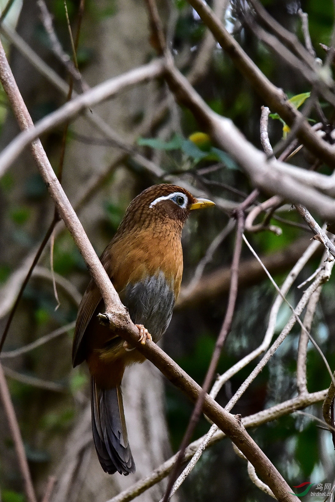 DSC_0797.JPG