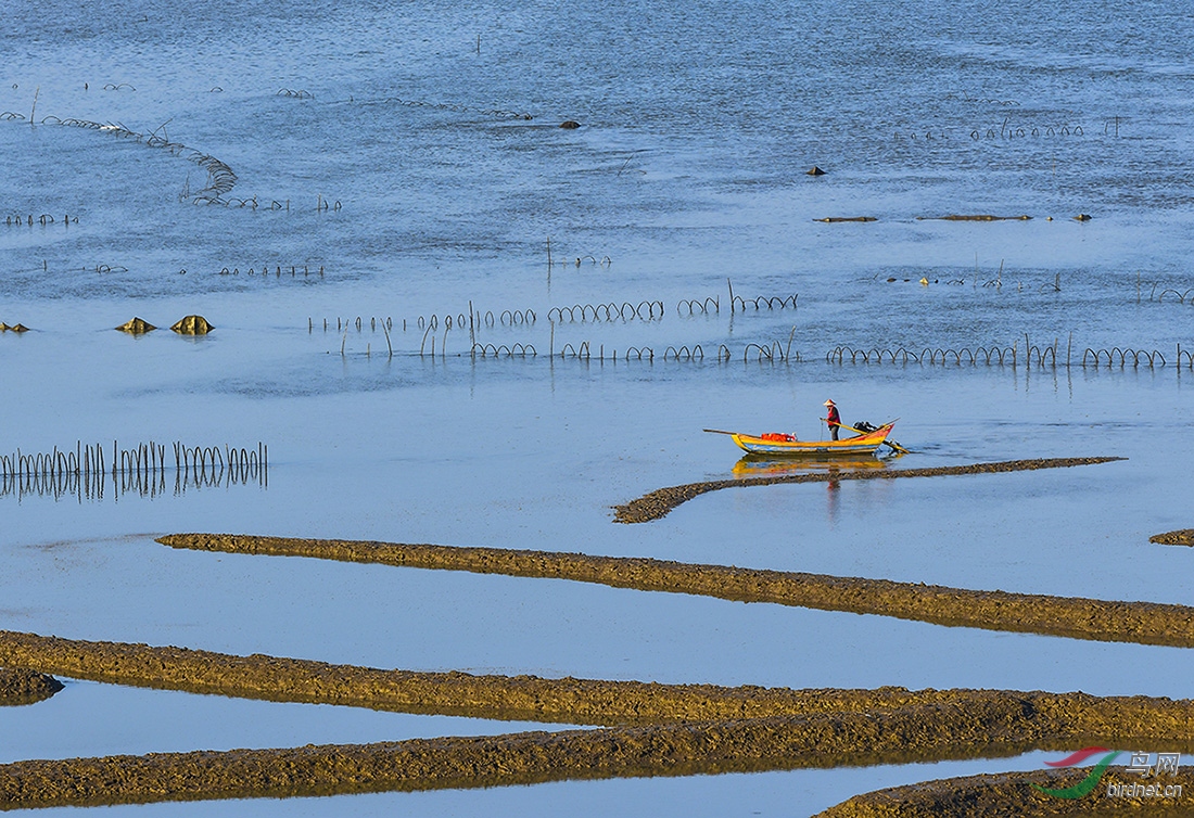 渔歌(祝贺老师佳作荣获首页精华)