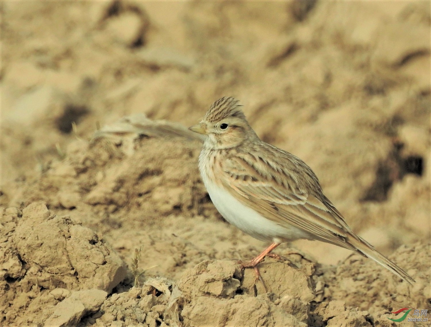 ����2-�ǳǸ�DSCN9562.jpg