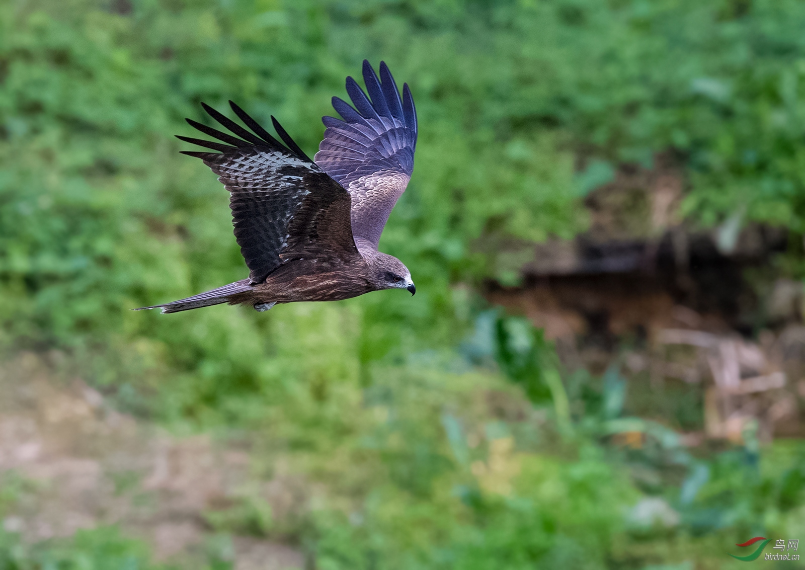 DSC_6678.jpg