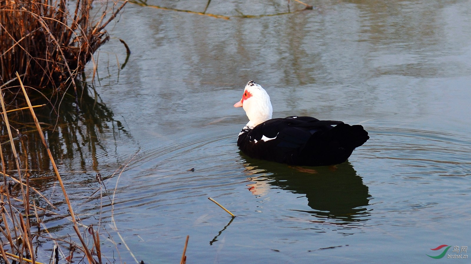 DSC_4140.JPG