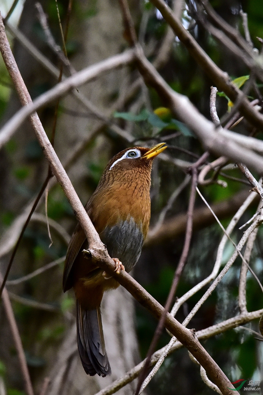 DSC_0800.JPG