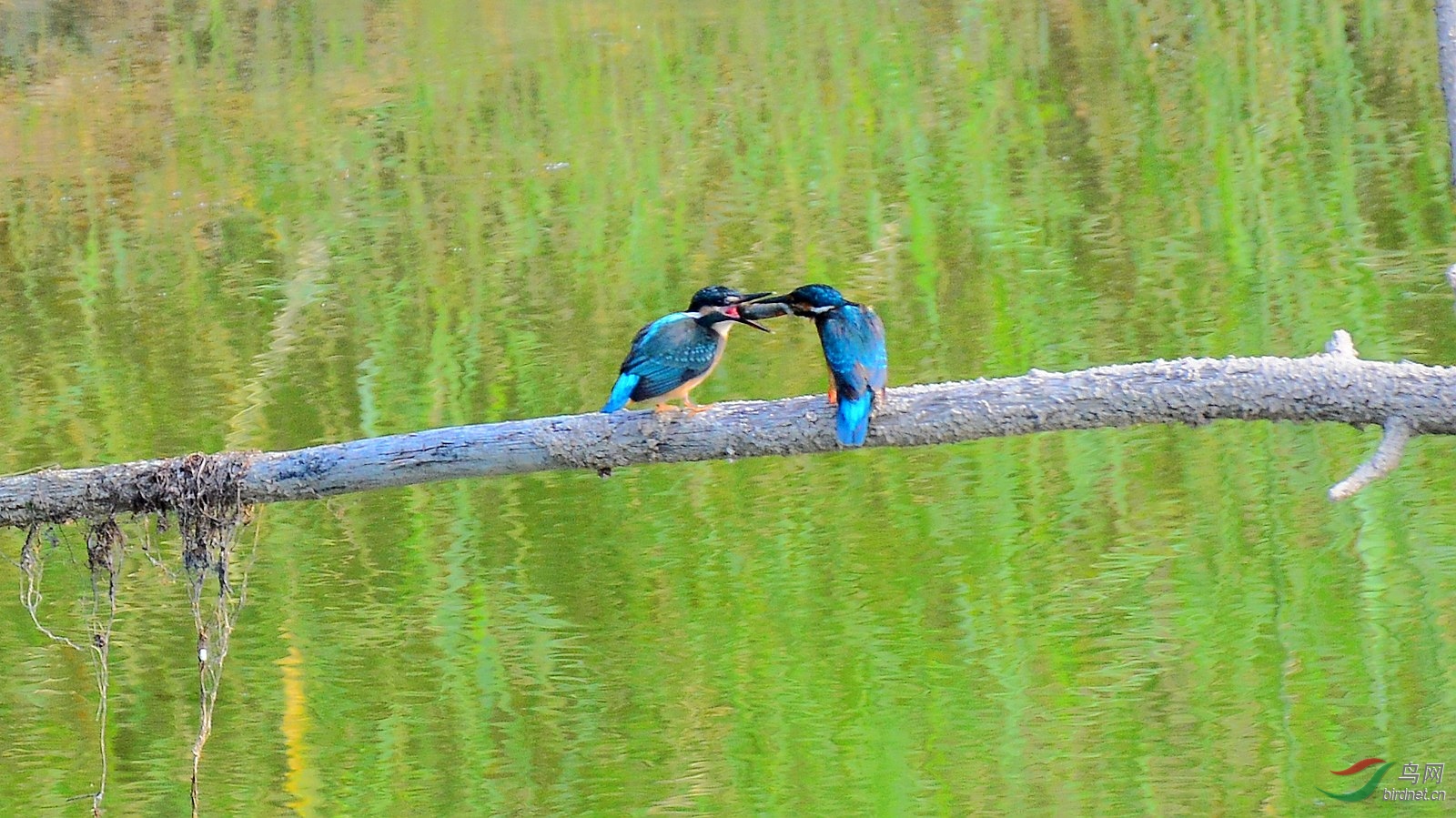 DSC_6119.JPG