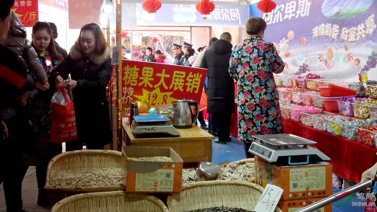 P1041431.jpg
