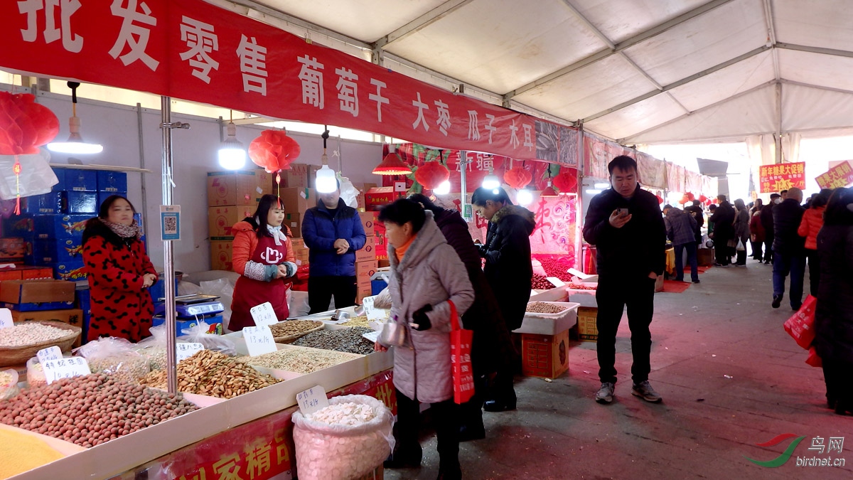 P1041427.jpg