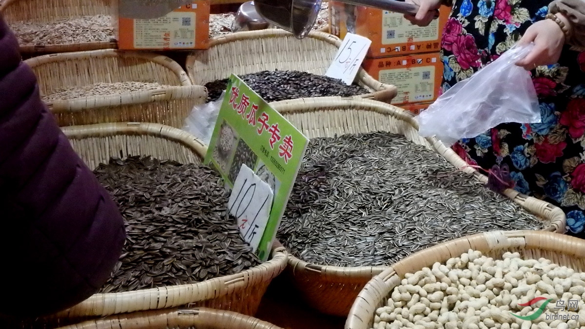 P1041430.jpg