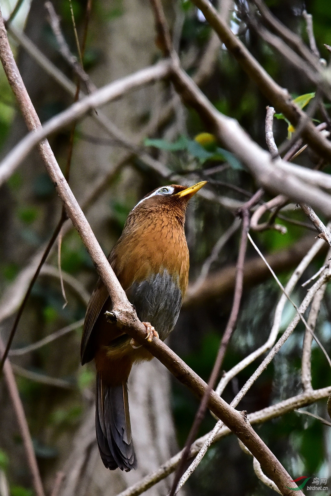 DSC_0801.JPG