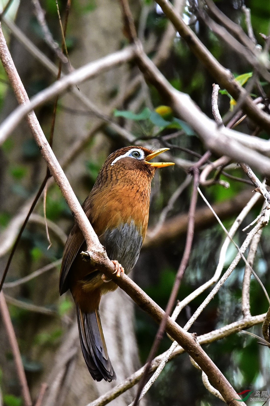 DSC_0802.JPG