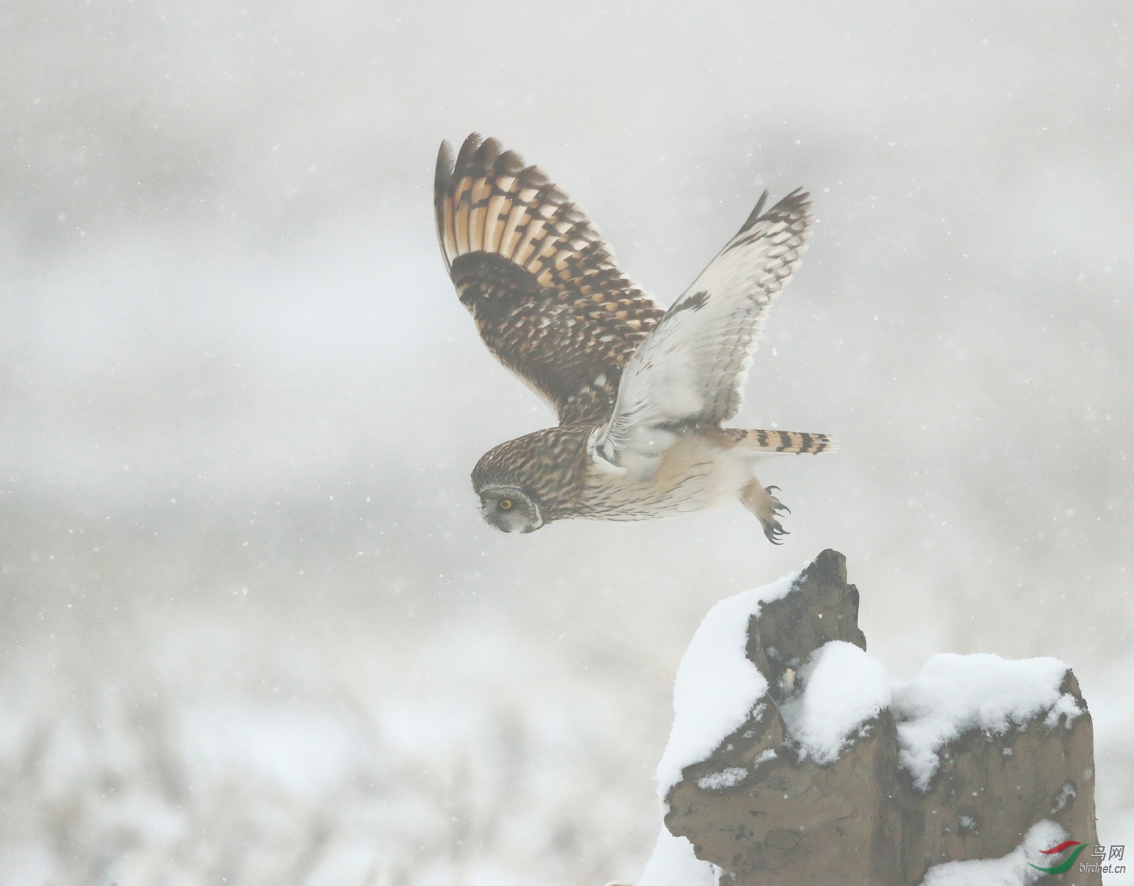 11 - ����.jpg