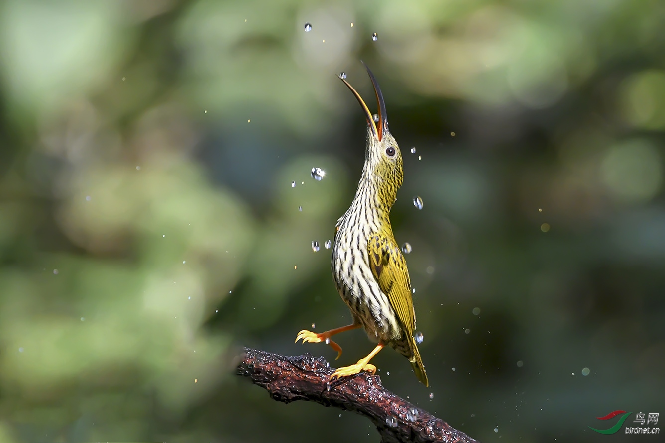 DSC_1054-2.jpg