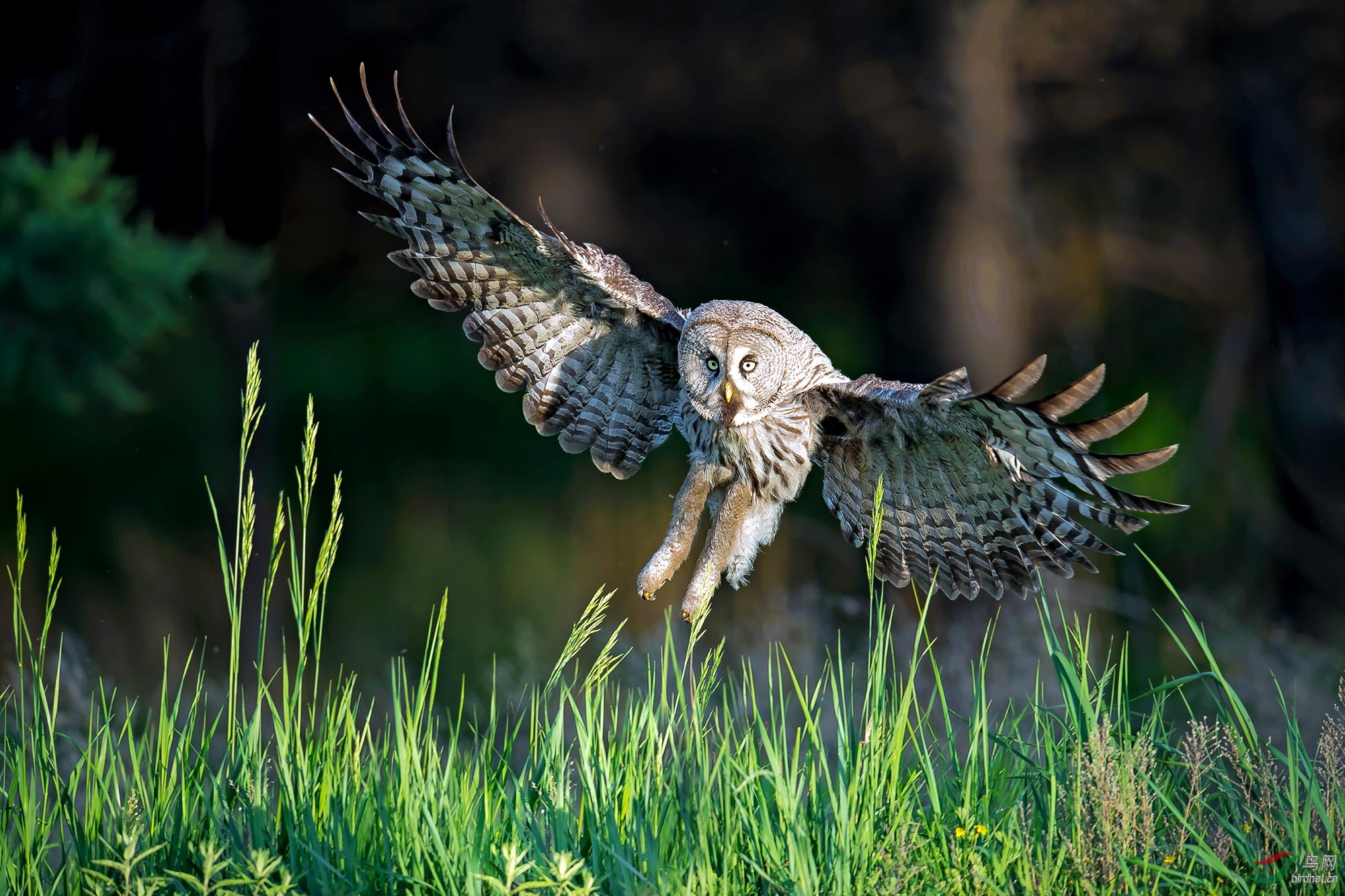 ��Ȼ���  ������  �����^  13653817008  ����֣�� (7).jpg