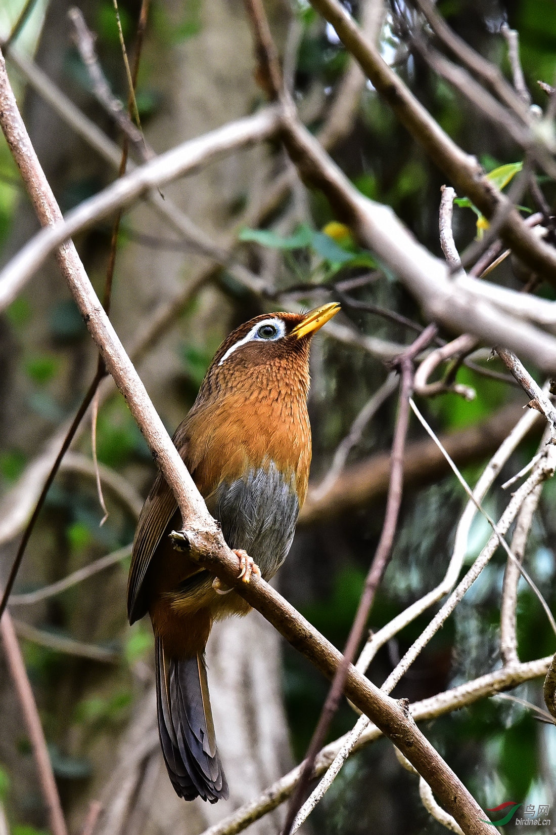 DSC_0806.JPG