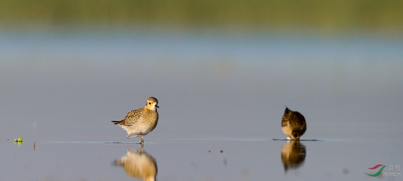 DJ4W9734����a.jpg