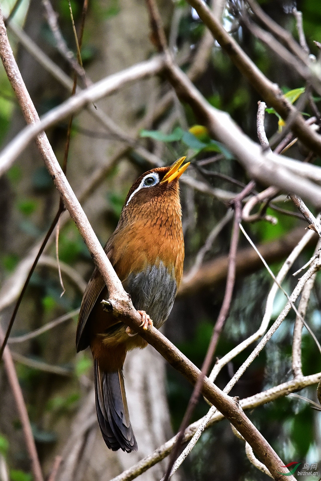 DSC_0807.JPG