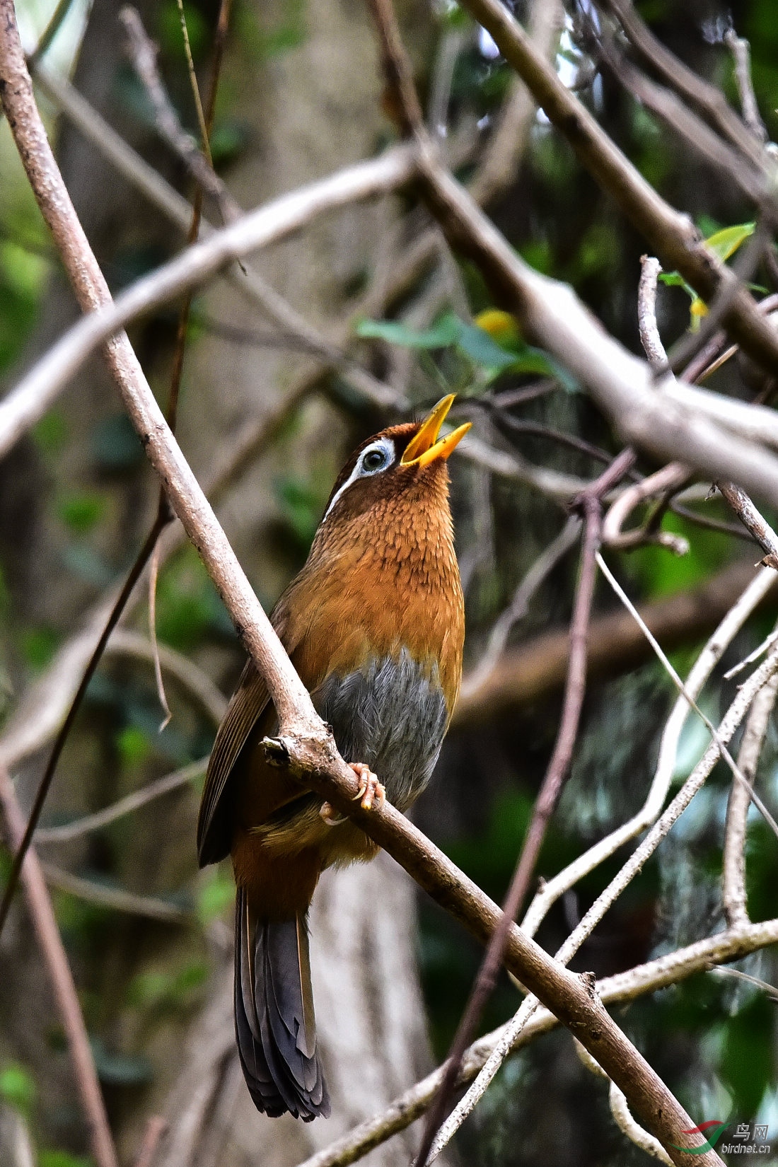 DSC_0808.JPG