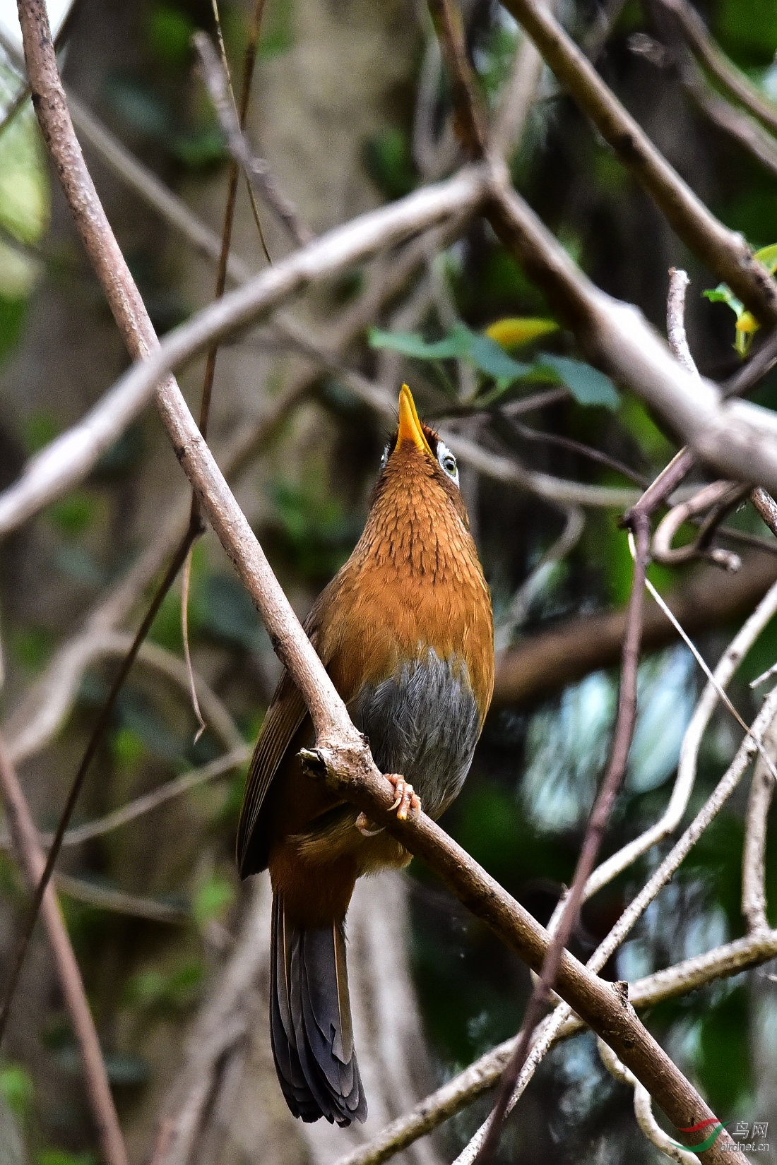 DSC_0809.JPG