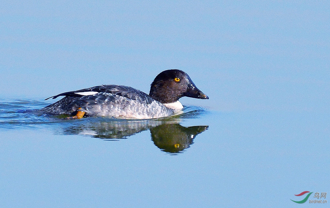 DSC_5825.JPG