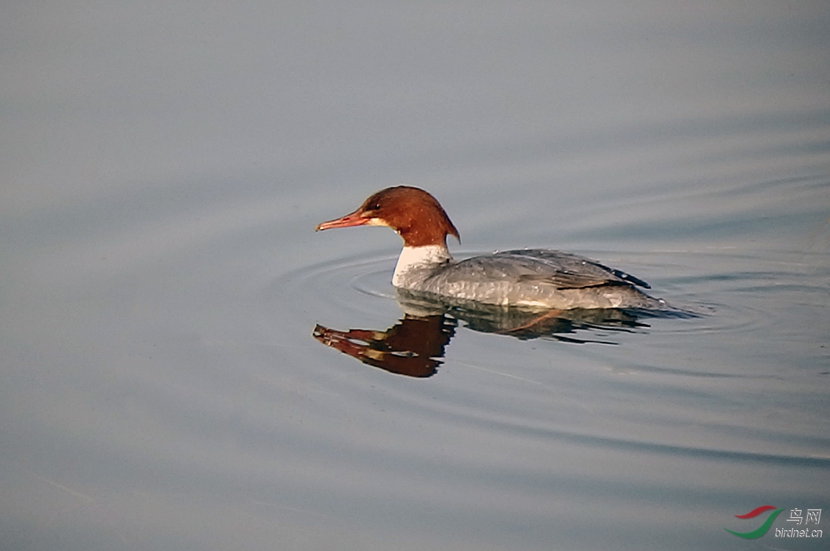 P1071466.jpg