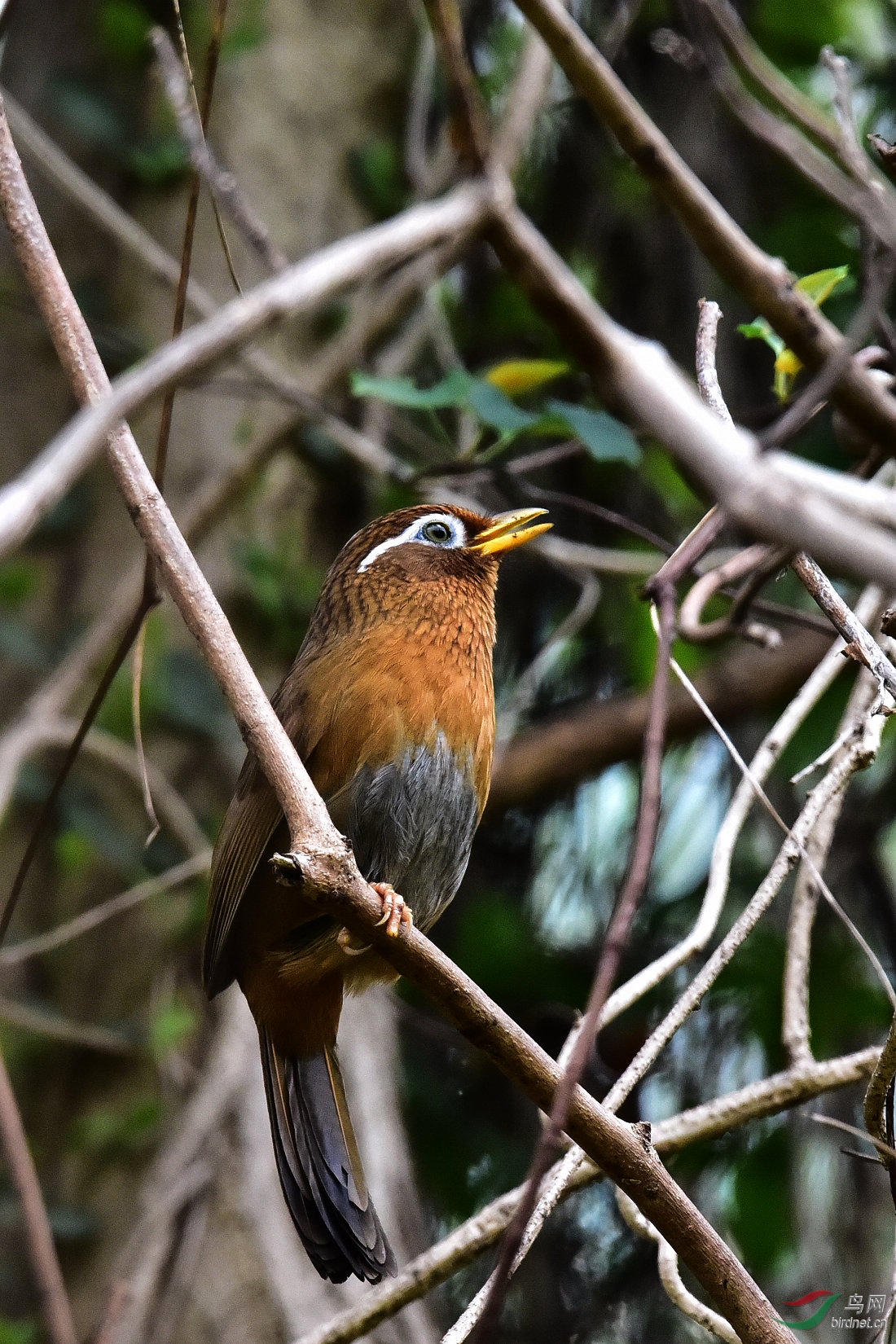 DSC_0815.JPG