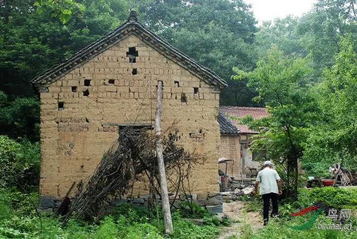 03.jpg