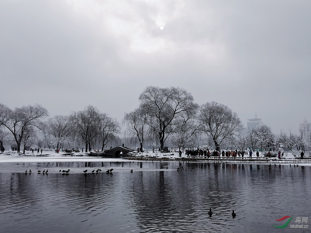 IMG_20200106_103345-02.jpg