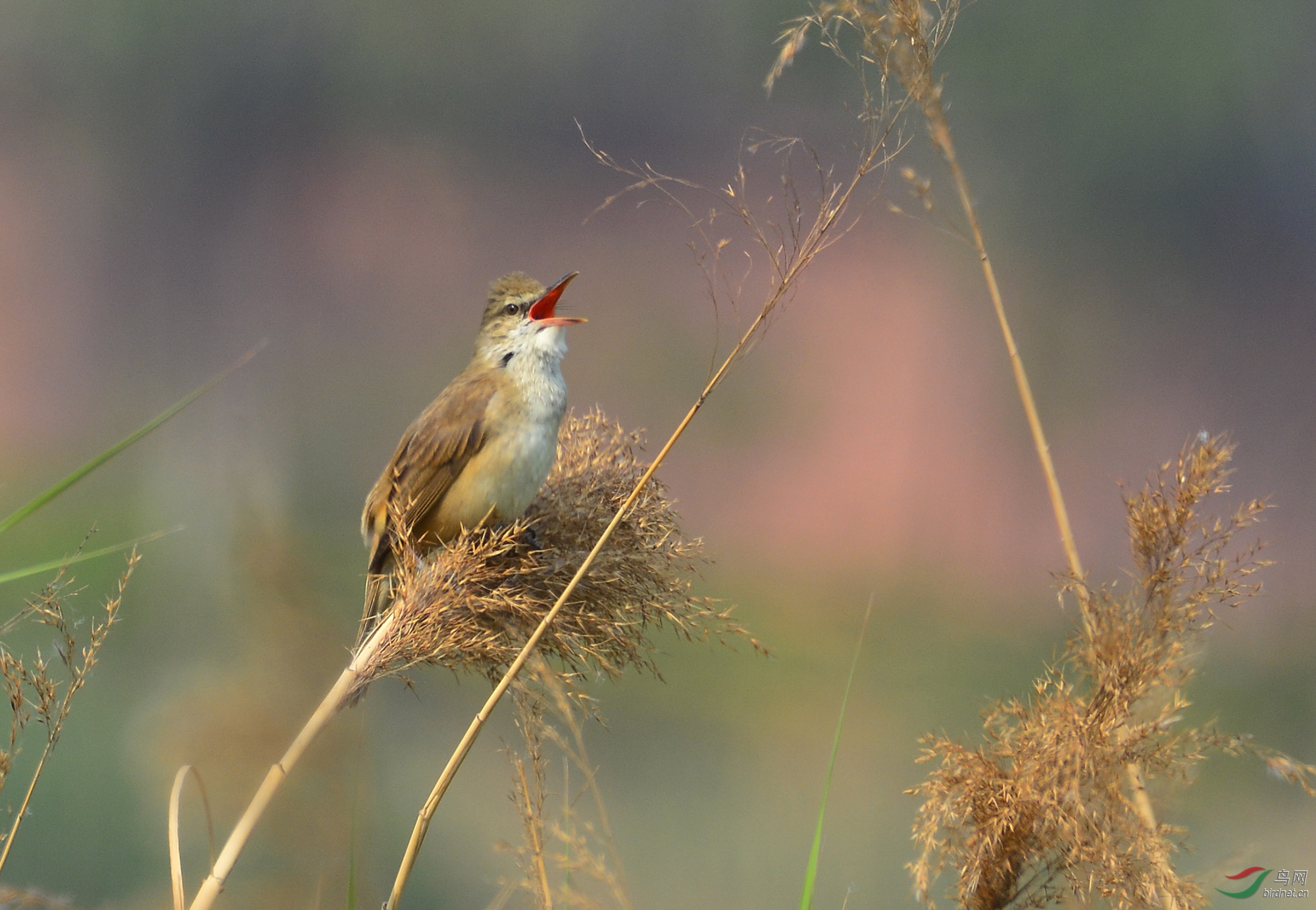 ������Ӱ 1725����.jpg