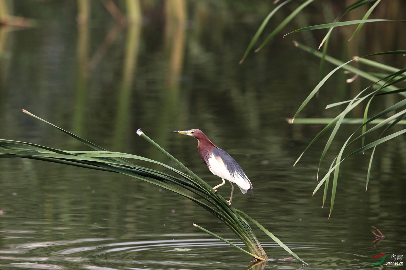DJ4W2072.JPG