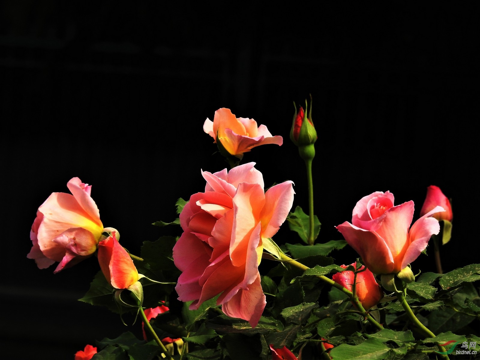 DSCN3942.JPG