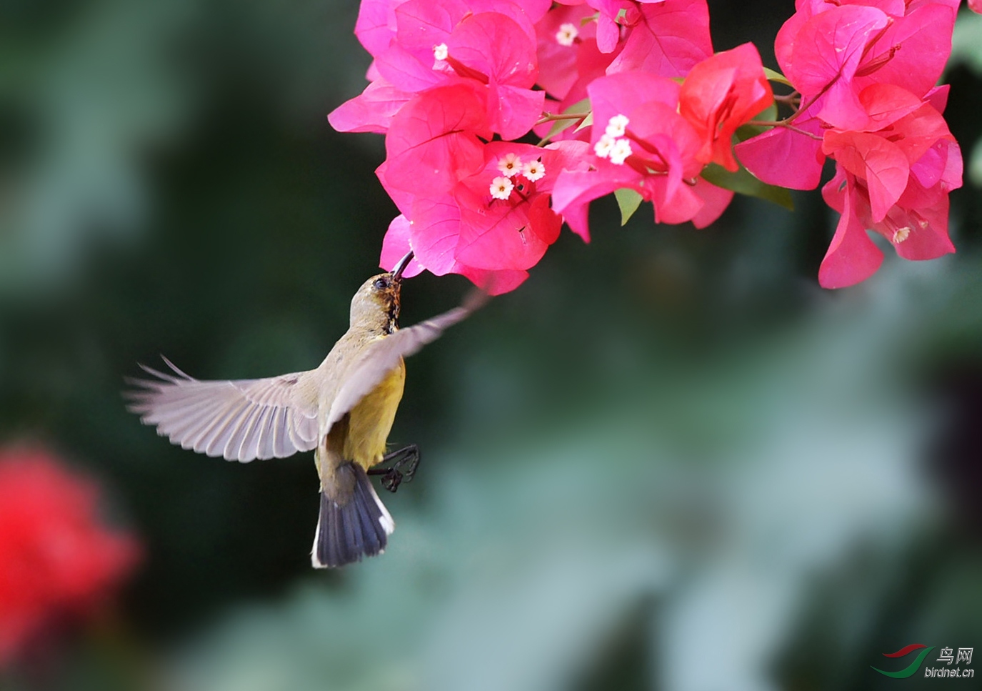DSC_9586_����.jpg