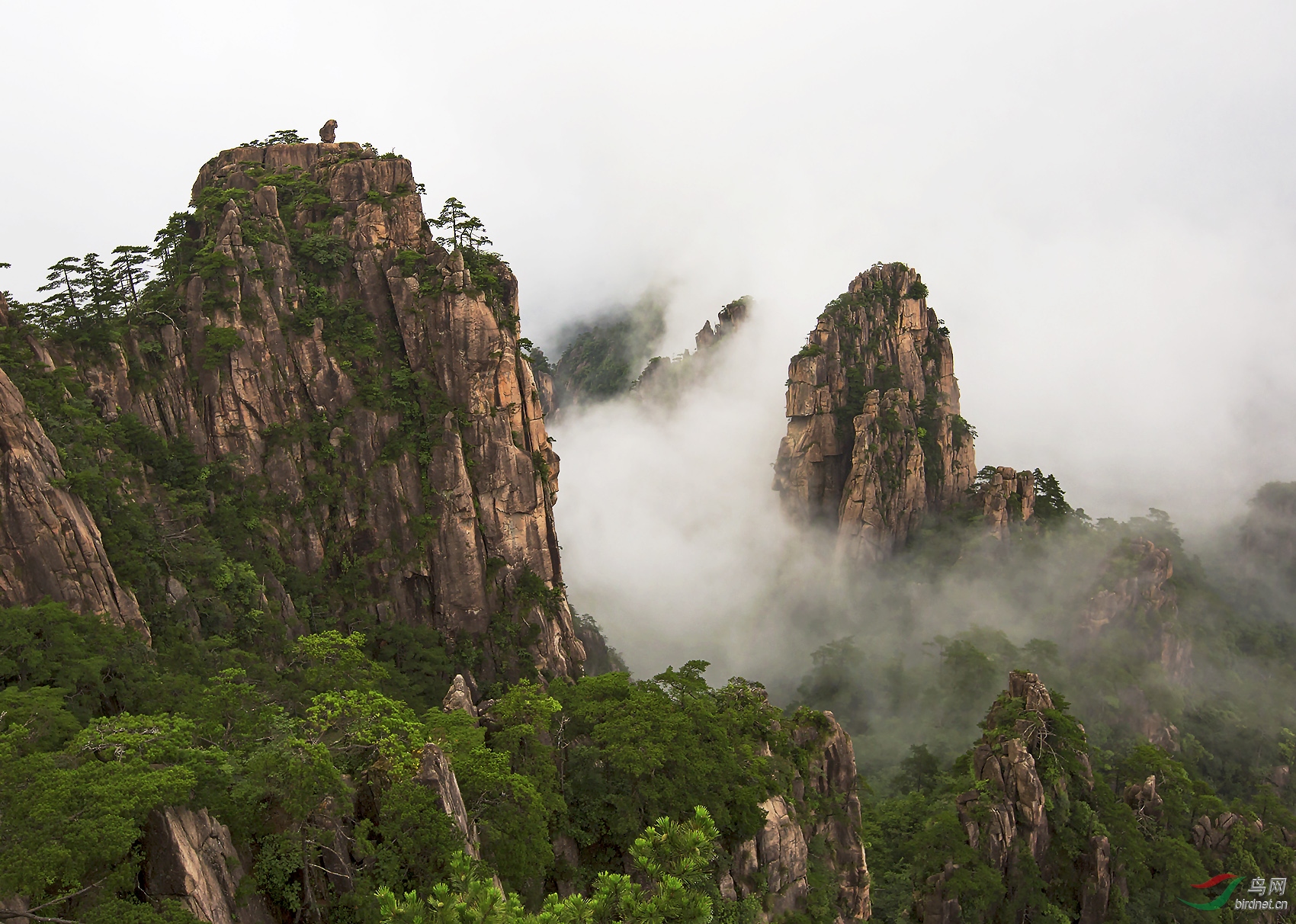 自然传奇大黄山(二)