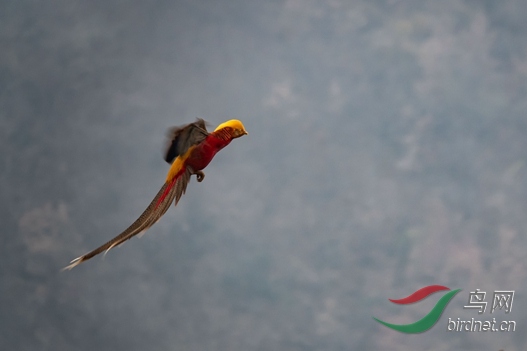 _DSC8345 (2)_����.jpg