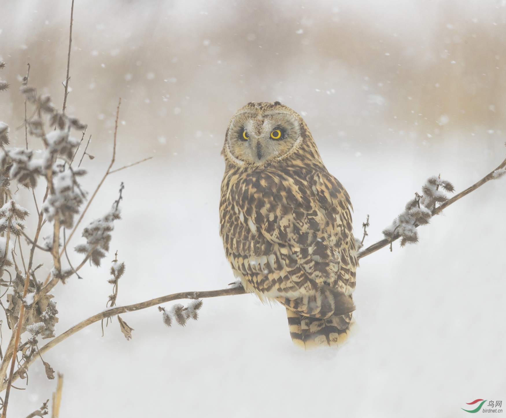 4865 - ����.jpg