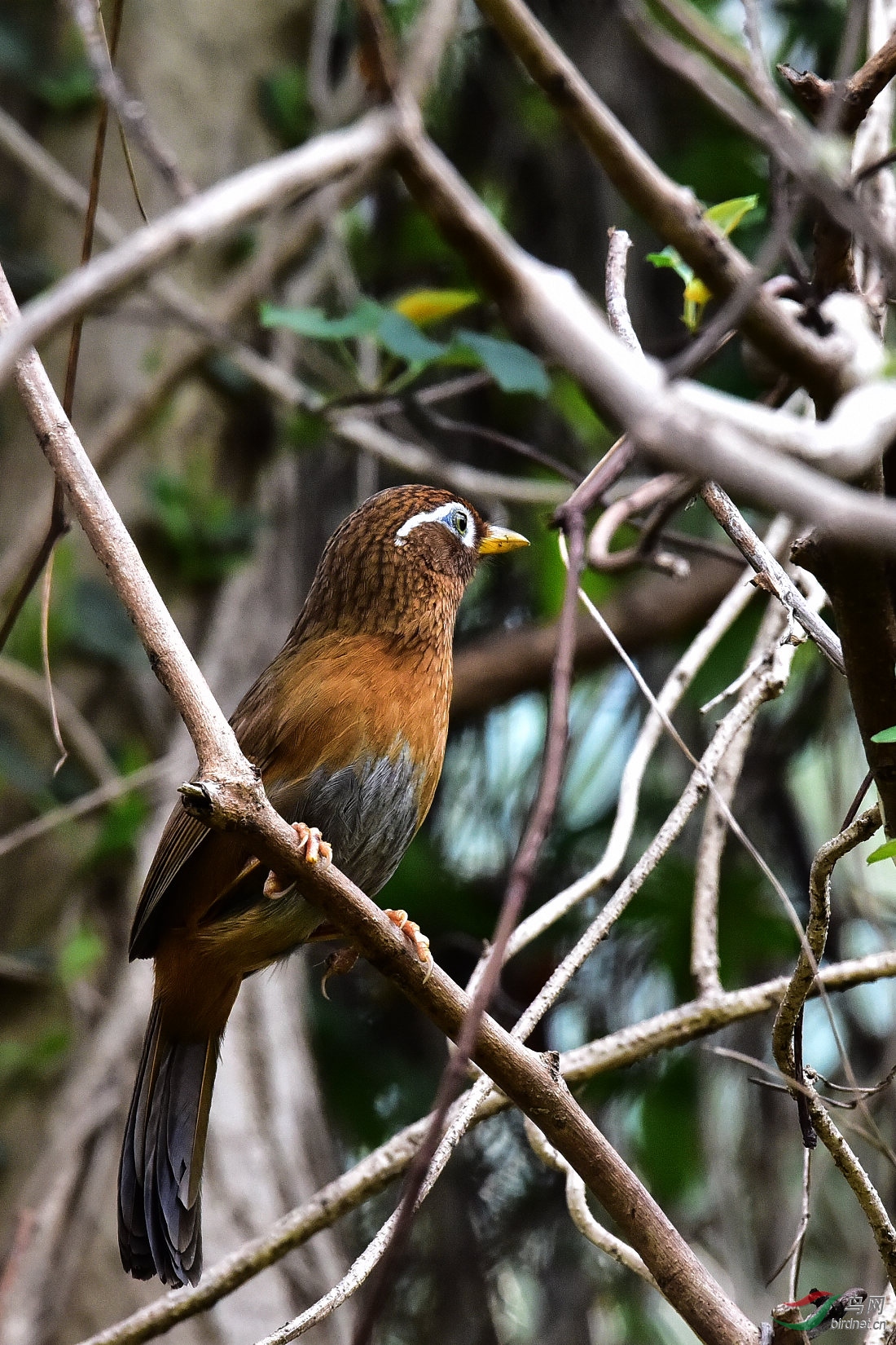 DSC_0826.JPG