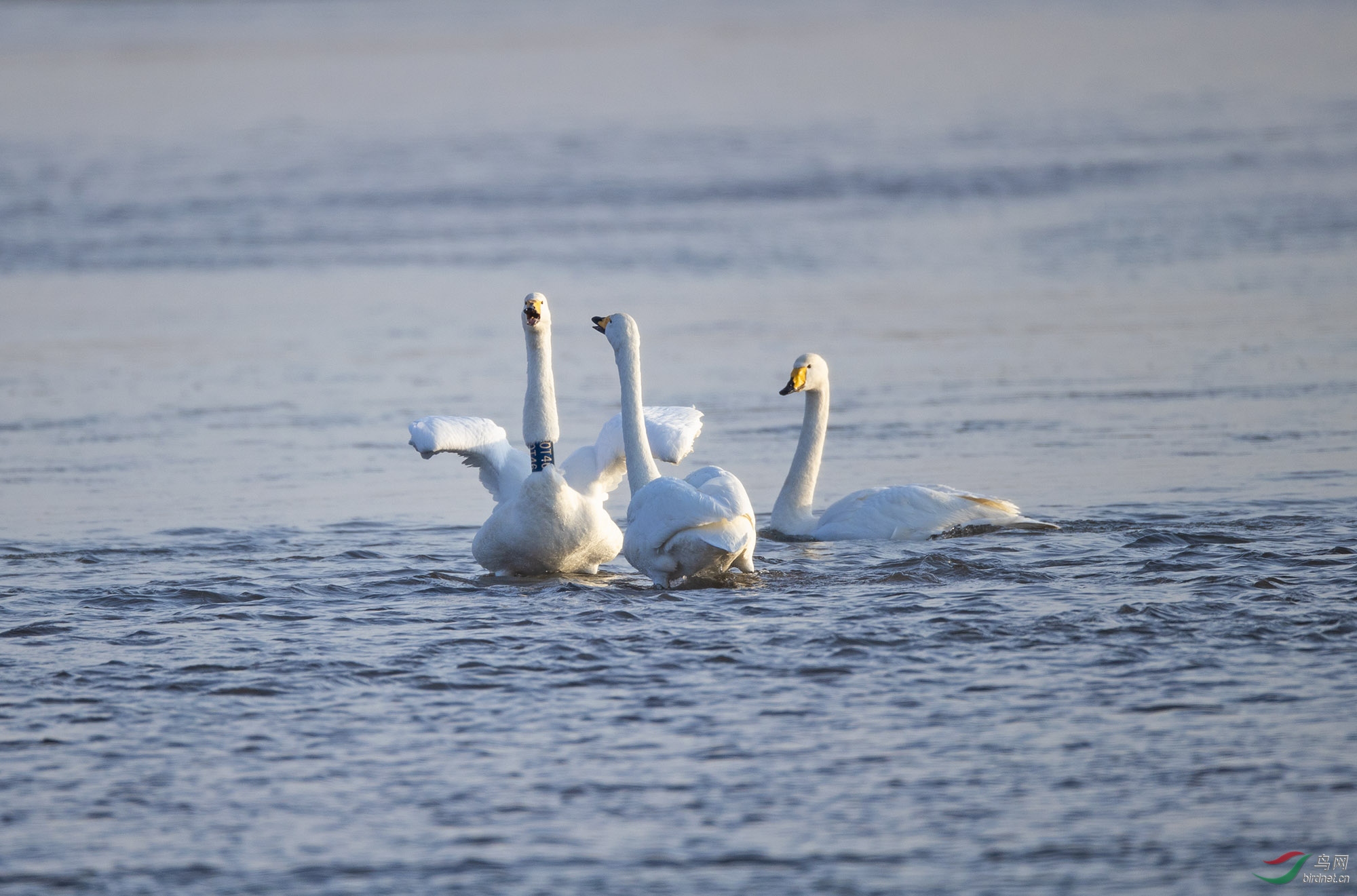 ��־�����