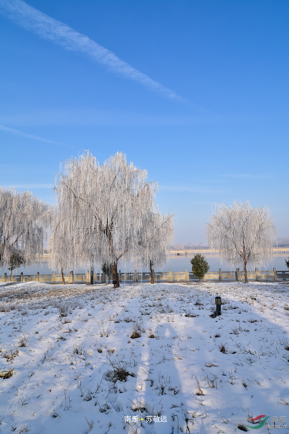 _DSC8553ССС.jpg