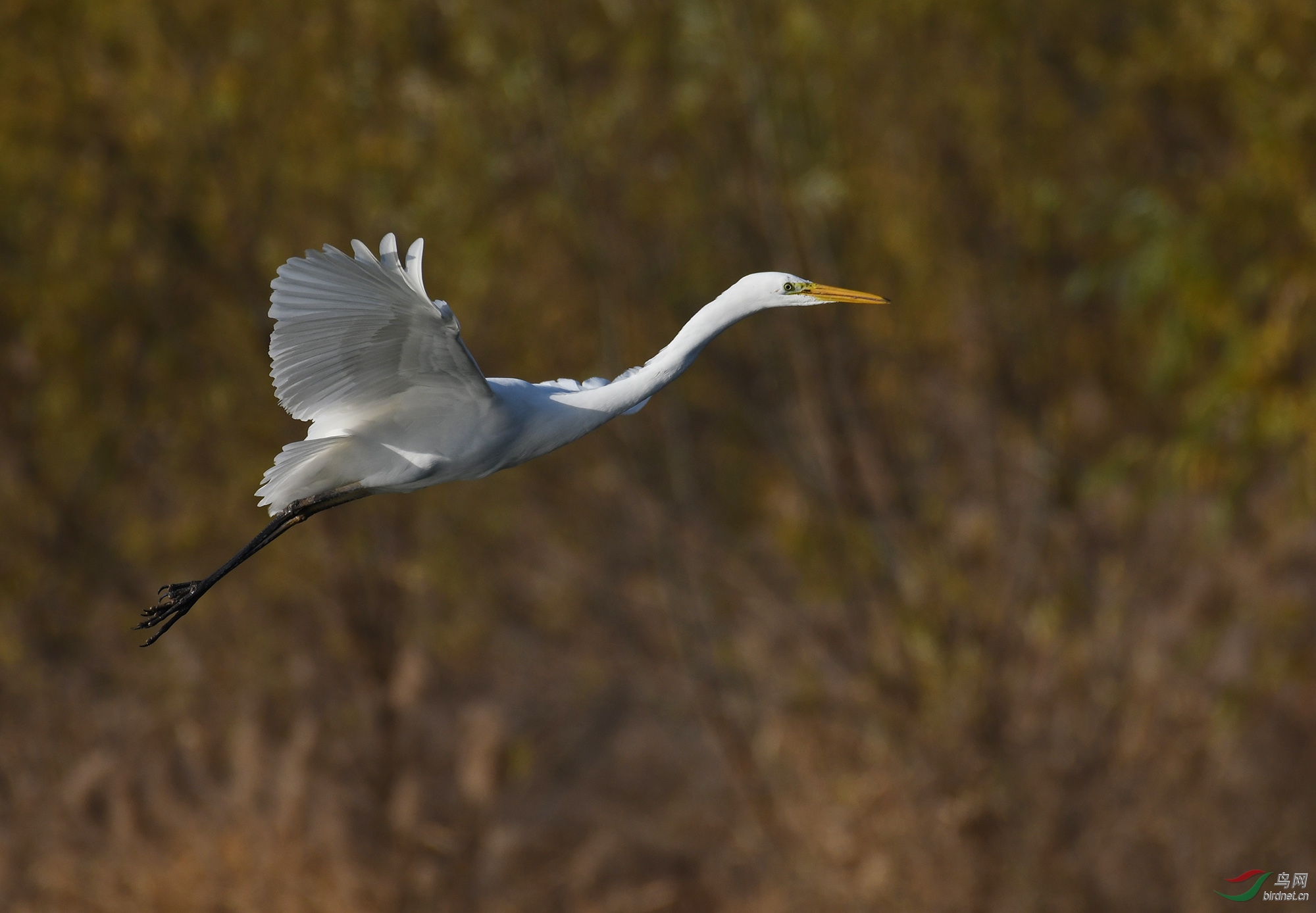 ������Ӱ 158����.jpg