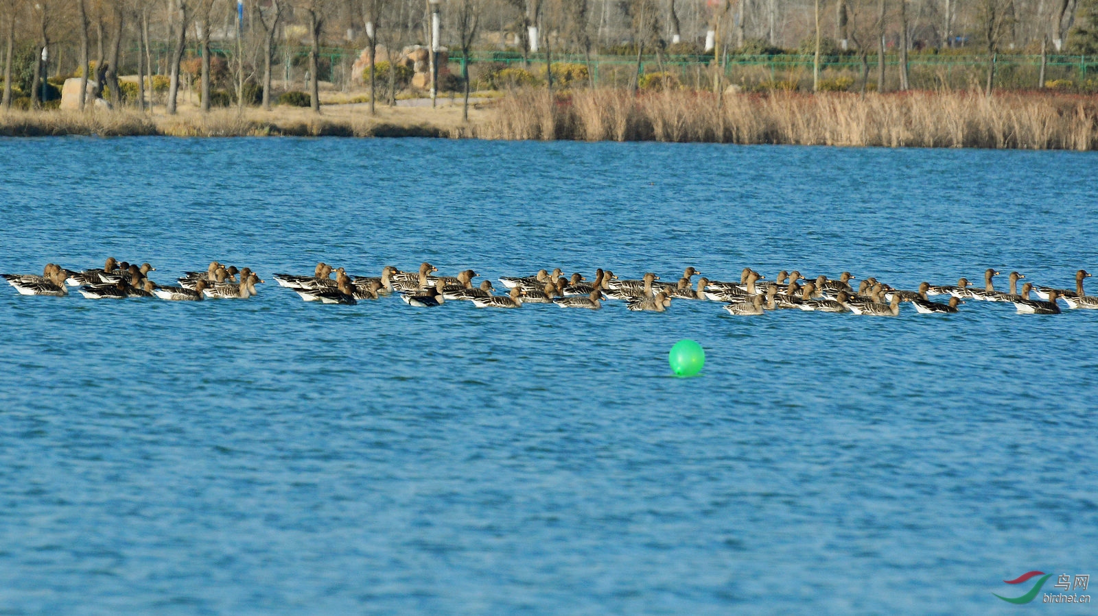 DSC_9518.JPG