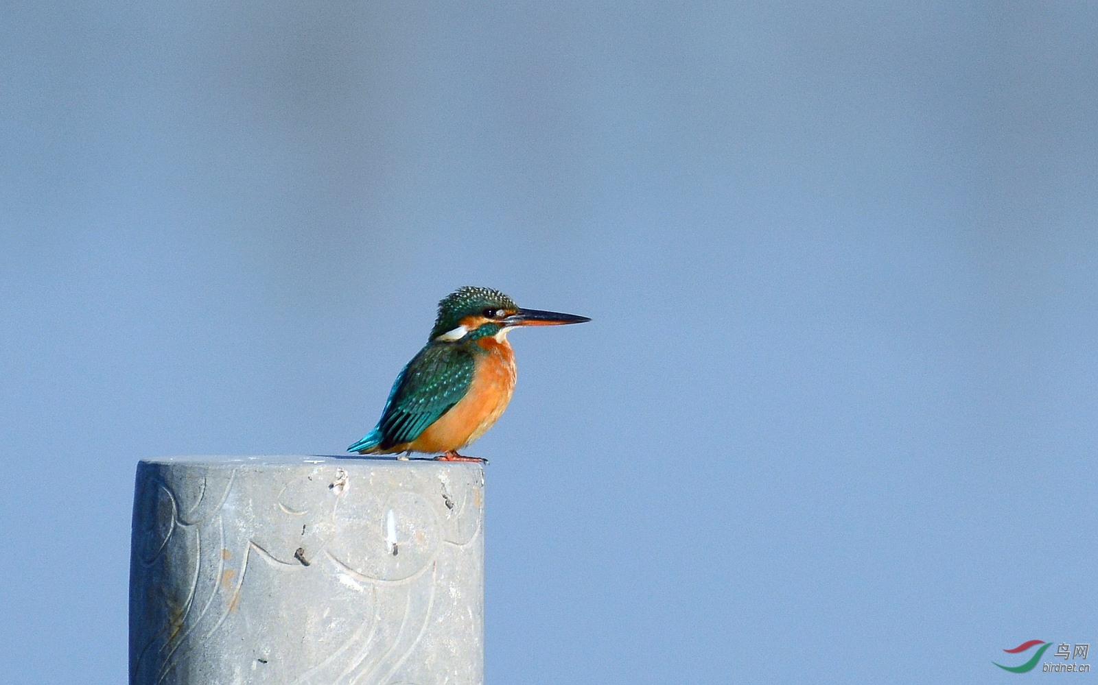 DSC_6058.JPG