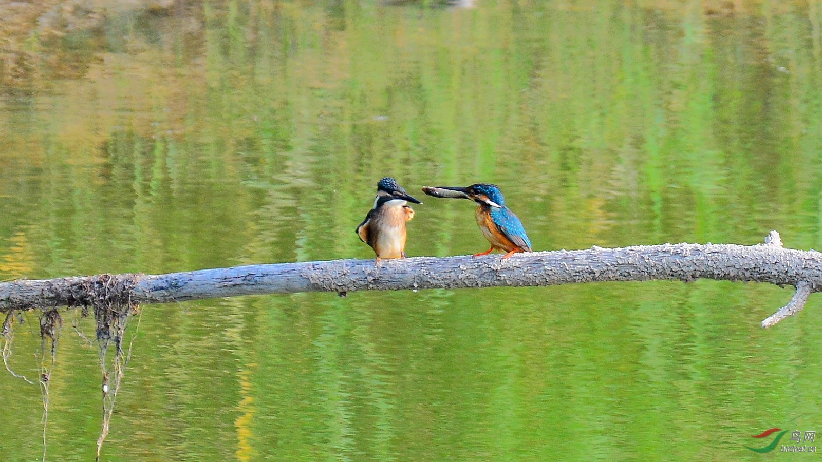DSC_6109.JPG