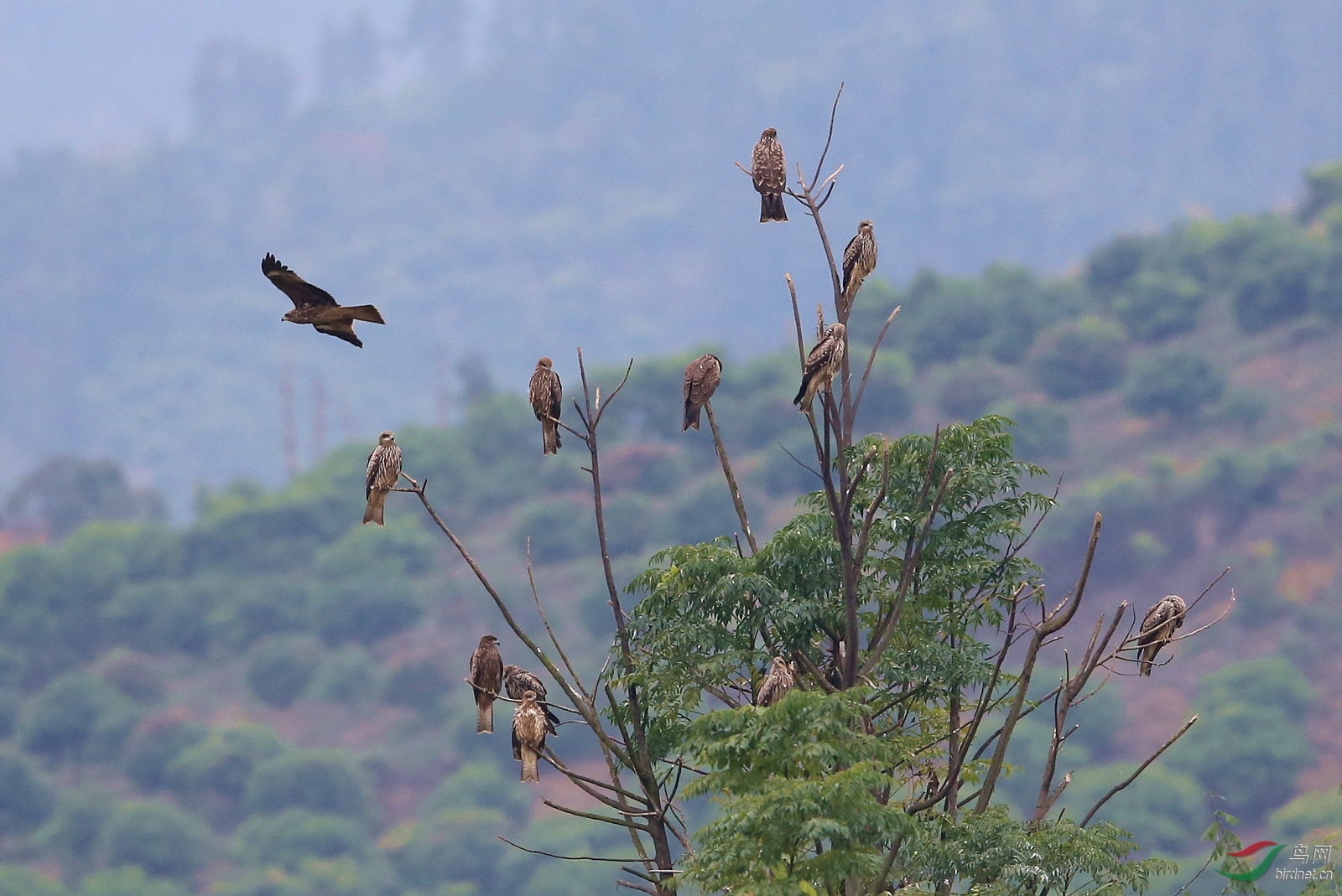 IMGL7482 - ����.JPG