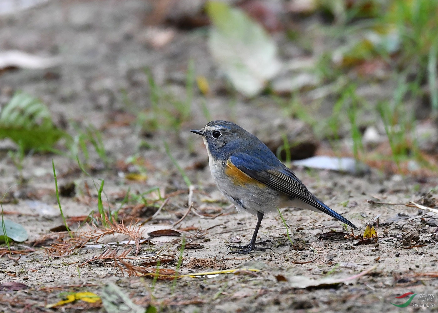 DSC_2060.jpg