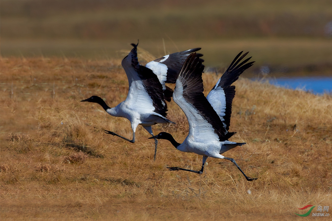 9K0A0749_1-W.jpg