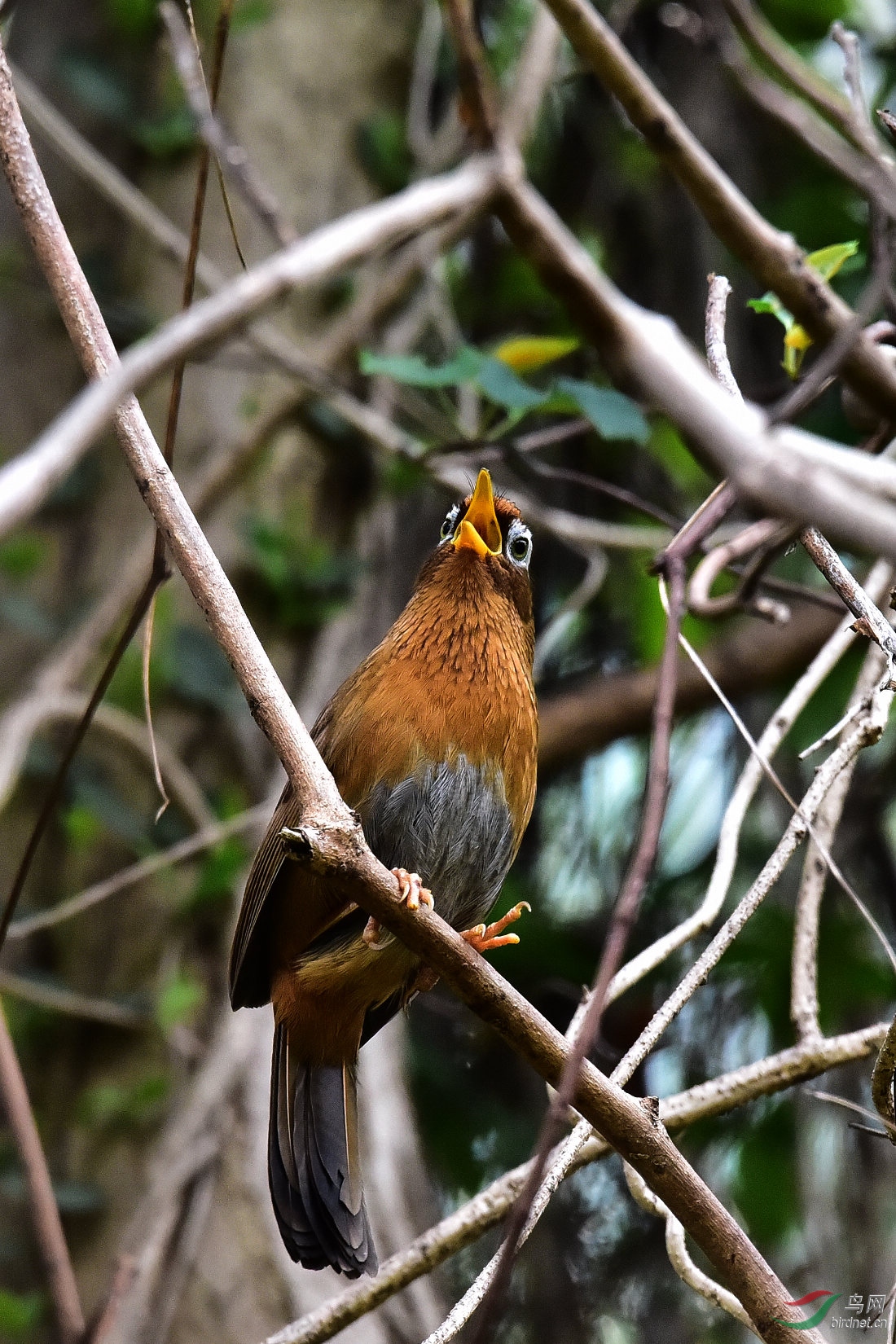 DSC_0829.JPG