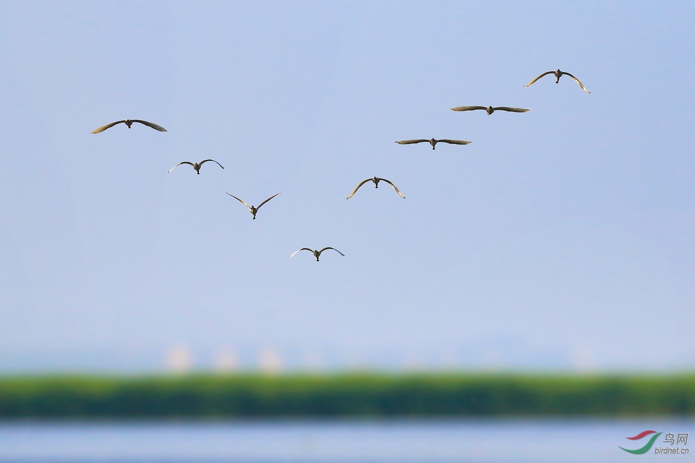 ���--������