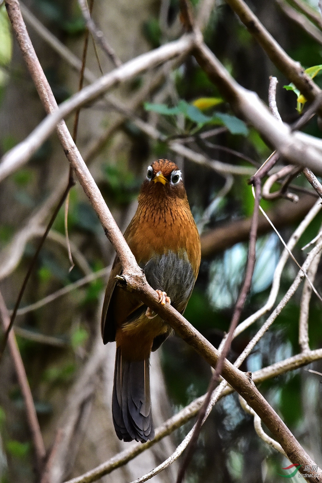 DSC_0832.JPG