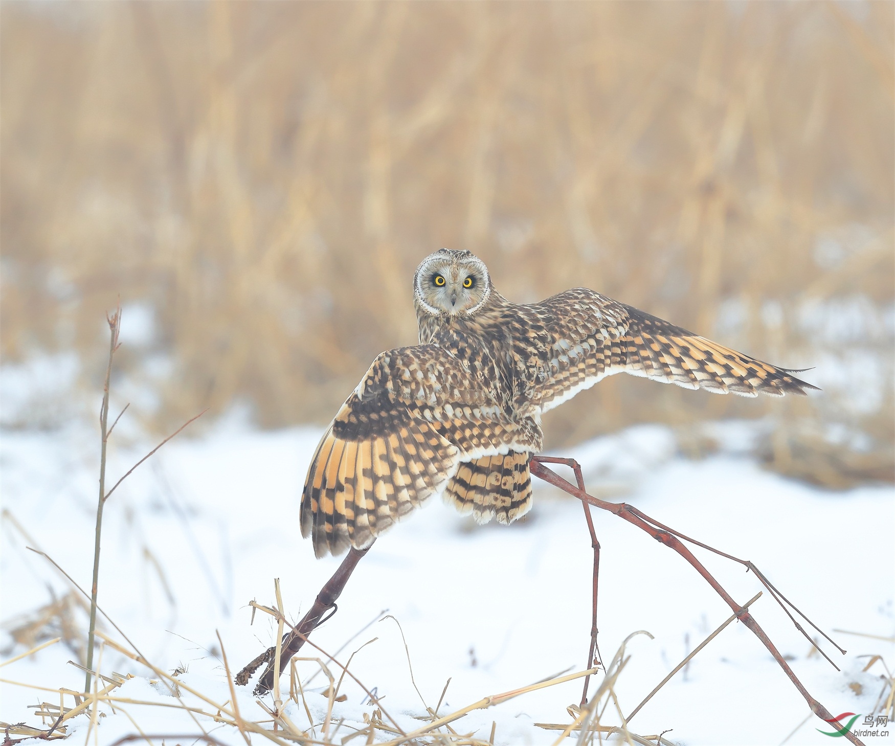 4 - ����.JPG