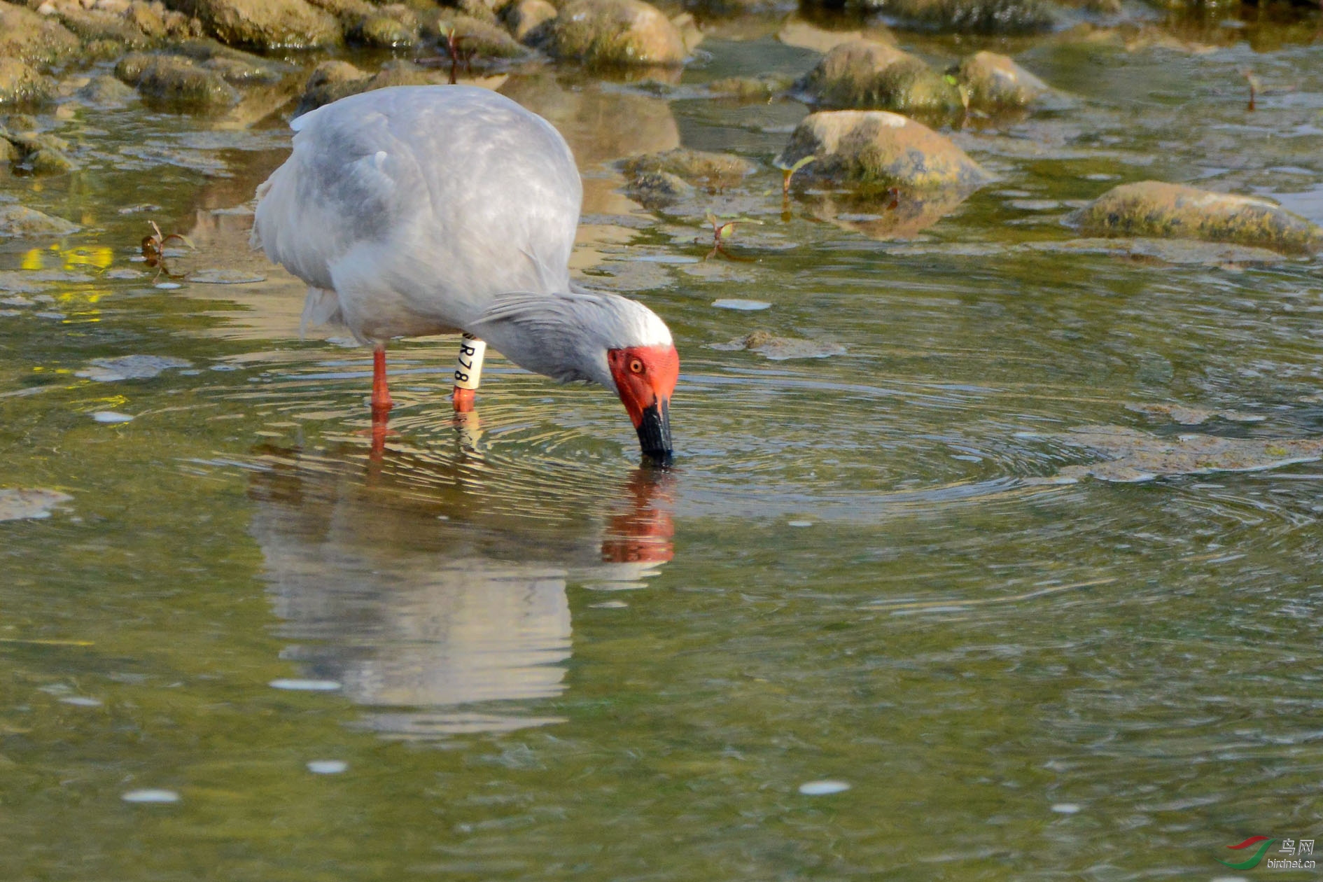 DSC_5493.JPG